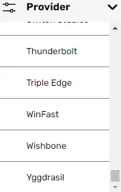 21.com Developer 17 177x221