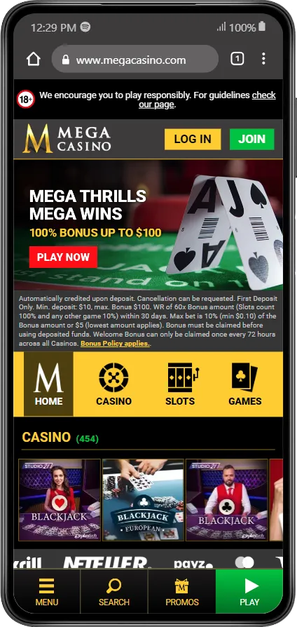 Mega Casino Mobile