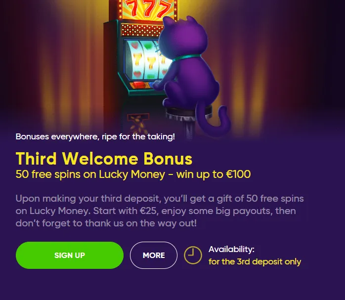Baocasino Third Welcome Bonus 332x221