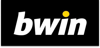 Bwin Casino Logo Rectangle