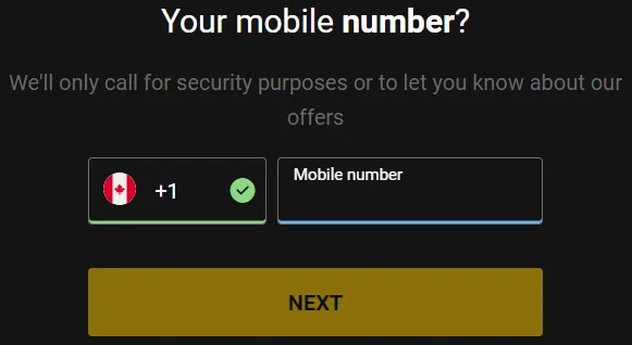 Bwin Casino Registration 5 332x221