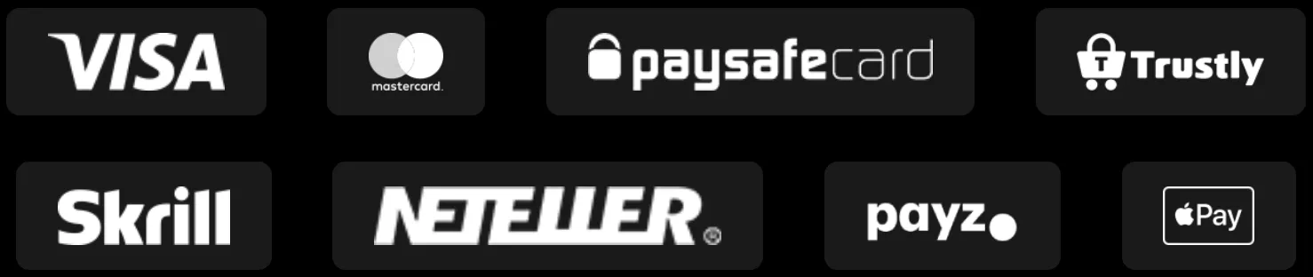 Mega Casino Payment Options 332x221