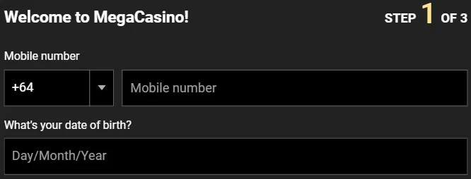 Mega Casino Registration 332x221
